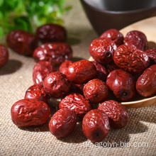 Trockenfrüchte frische süße rote Datteln Jujube